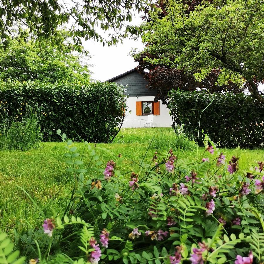 Bb19 Eifel-Ferienhaus Am Moseltal Mit Saunahaus Beuren (Cochem-Zell) Exterior foto